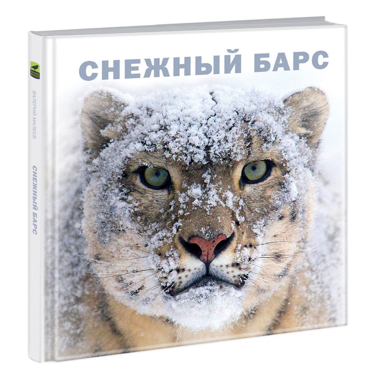 Барс сгу