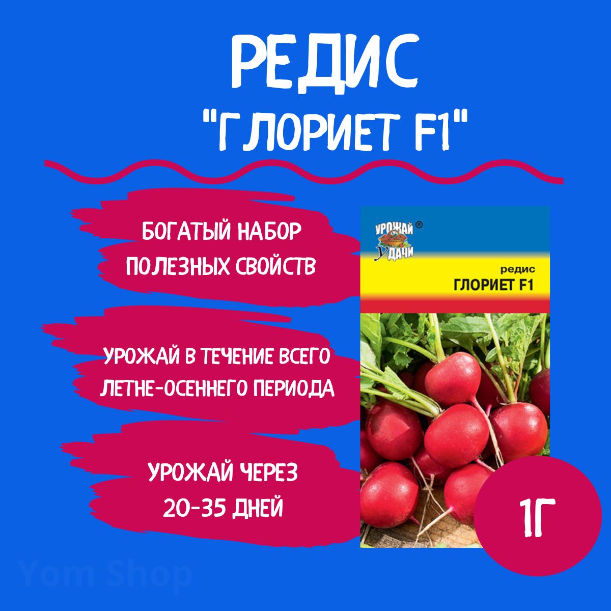 Редис глориет f1. Редис глориет f1