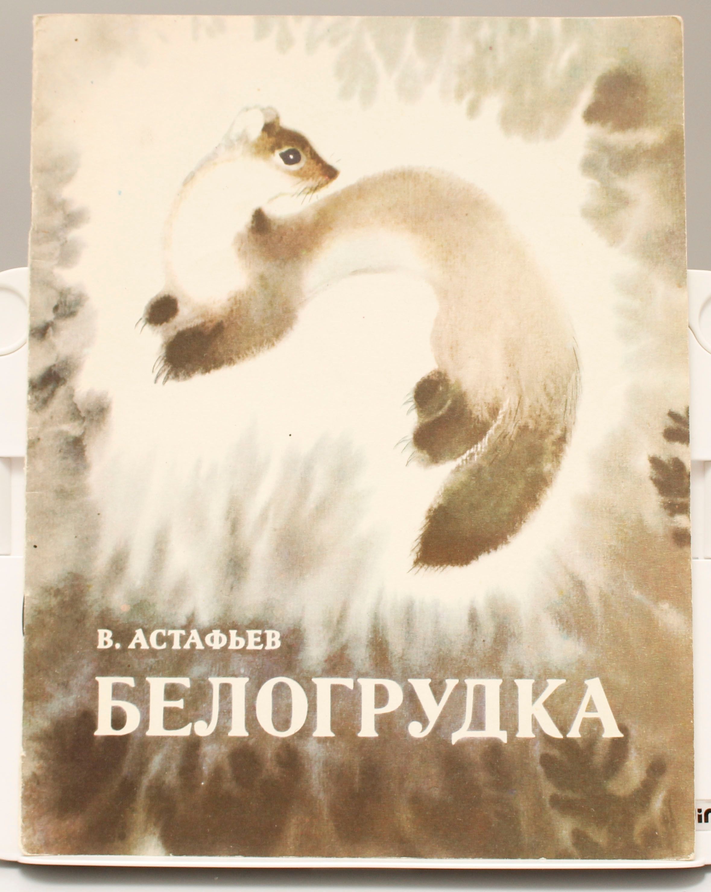 Белогрудка рисунок. Произведение белогрудка. Текст белогрудка читать. Текст белогрудка читать. Куница кратко.