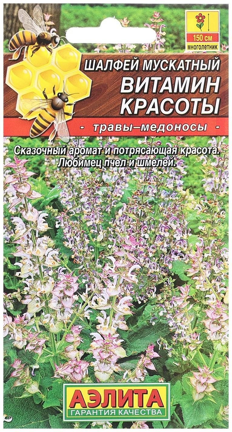 Шалфей Семенами Цена