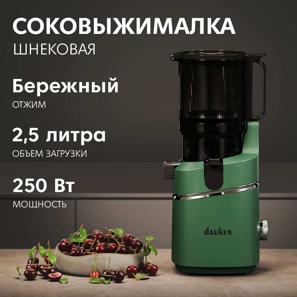 Dauken Соковыжималка шнековая DSJ480, темно-зеленый