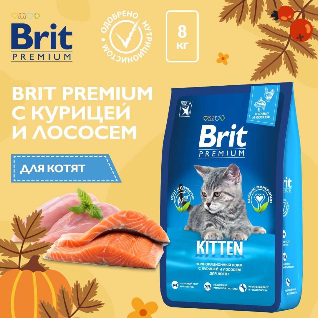 Сухой корм для котят Brit Premium Cat Kitten с курицей, 8 кг