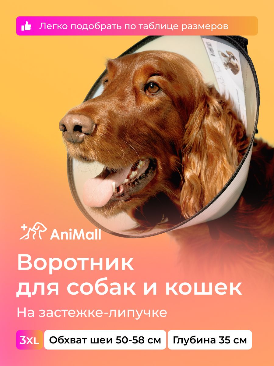 Воротник защитный ветеринарный для собак и кошек № 35 см, на липучке для крупных пород / AniMall купить на OZON по низкой цене (885180773)