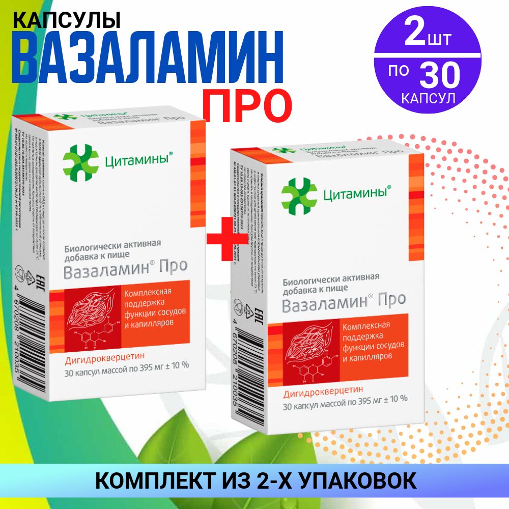 Вазаламин Про, капсулы массой 395 мг, 2 упаковки по 30 шт, КОМПЛЕКТ ИЗ 2х упаковок купить на OZON по низкой цене (1703499422)