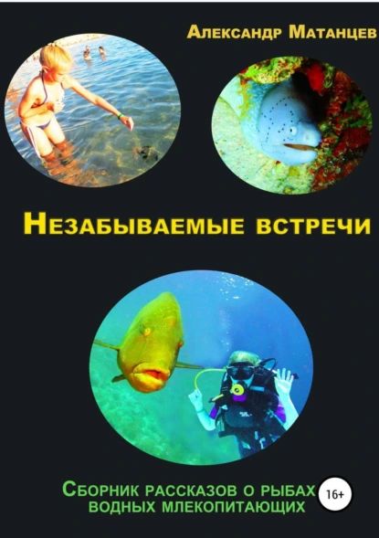 Незабываемые встречи. Сборник рассказов о рыбах и водных млекопитающих | Матанцев Александр Николаевич | Электронная книга