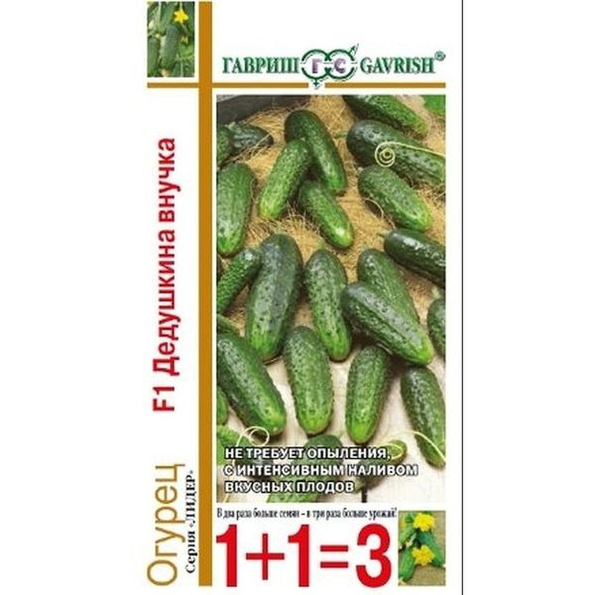 Огурец внученька f1 отзывы. Огурец дедушкина внучка. Огурцы дедушкин внучок. Огурцы дедушкин внучок. Огурцы дедушкин внучок.