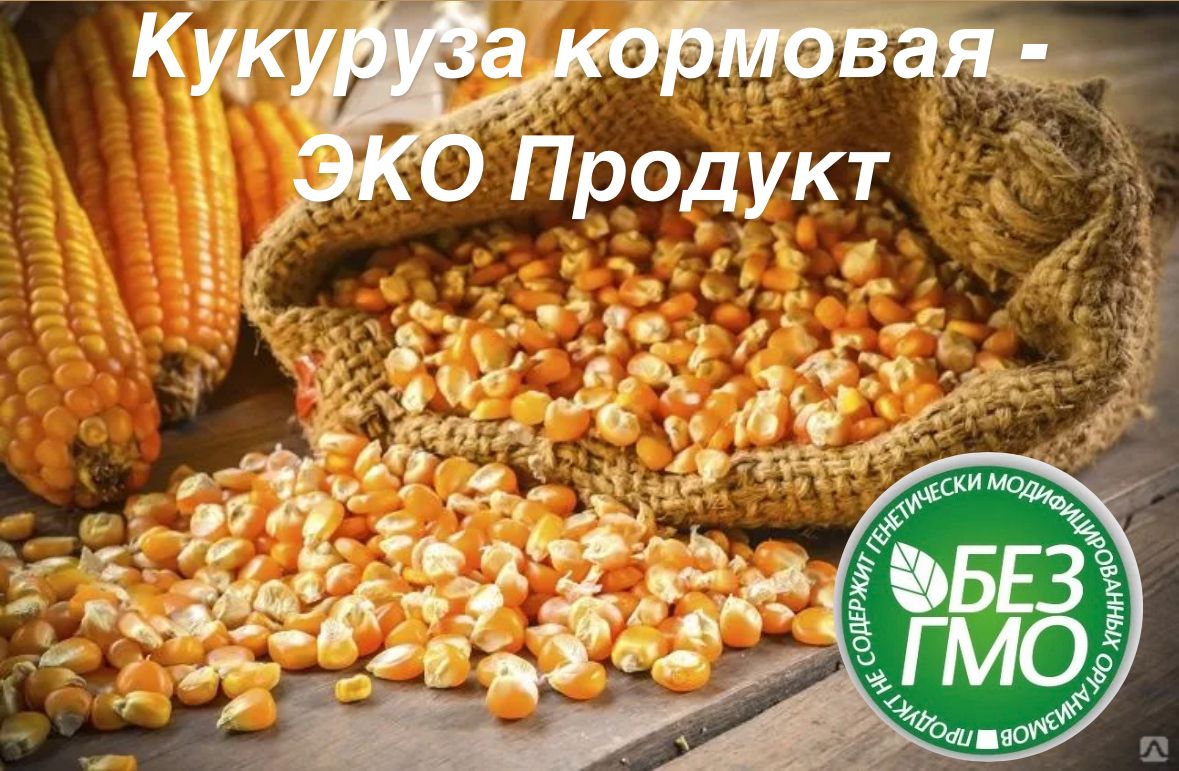 5 кг Кукуруза кормовая - ЭКО Продукт