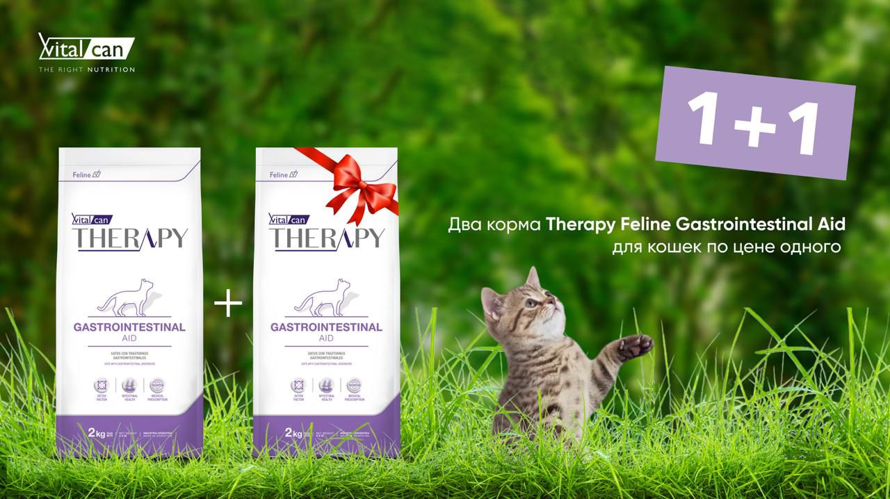 СухойкормVitalcanTherapyFelineGastrointestinalAidдлякошеквсехвозрастов,приболезняхЖКТ,скурицей,2кг(АКЦИЯ1+1)дваTherapyFelineGastrointestinalAidпоценеодного