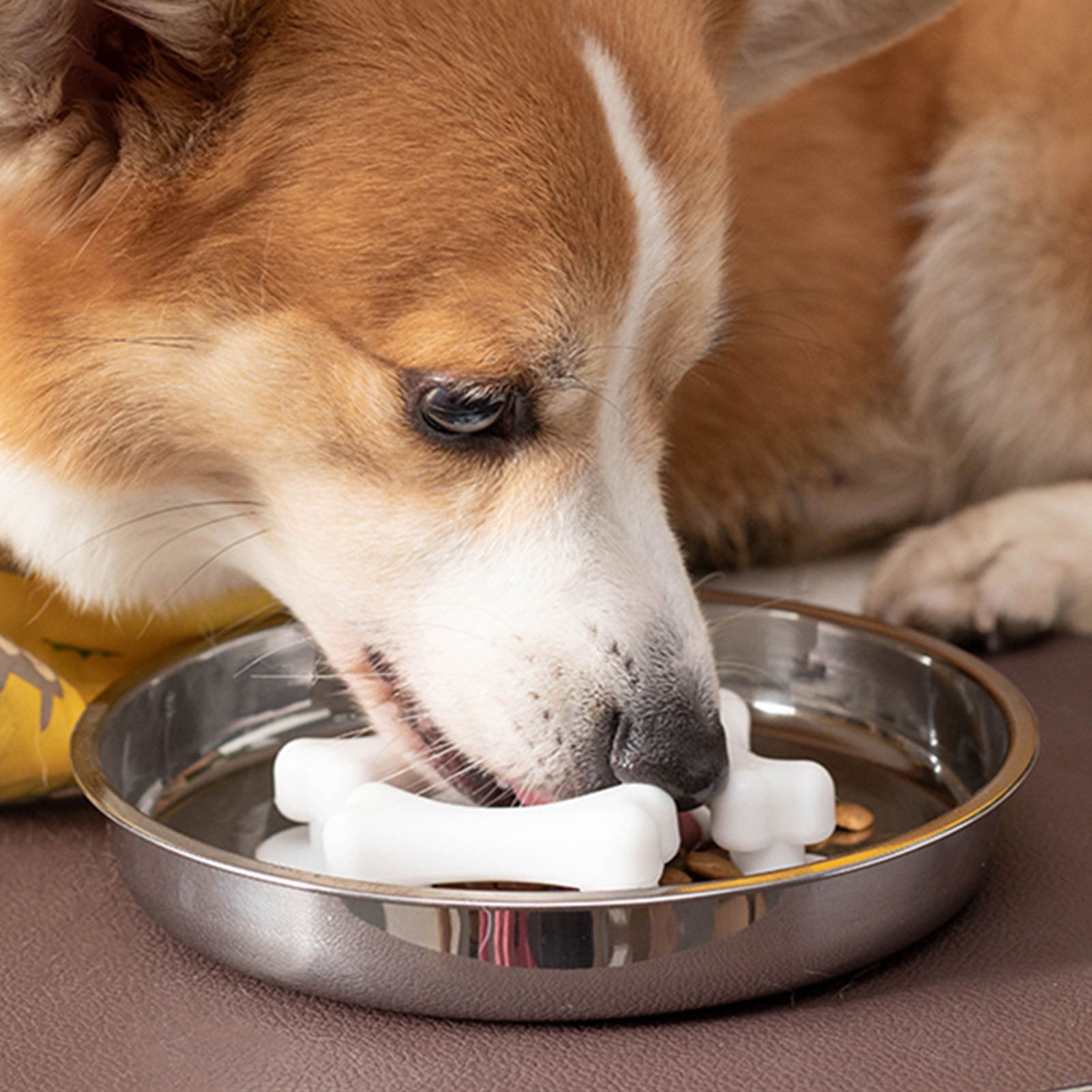 Вставка для медленной кормушки для собак