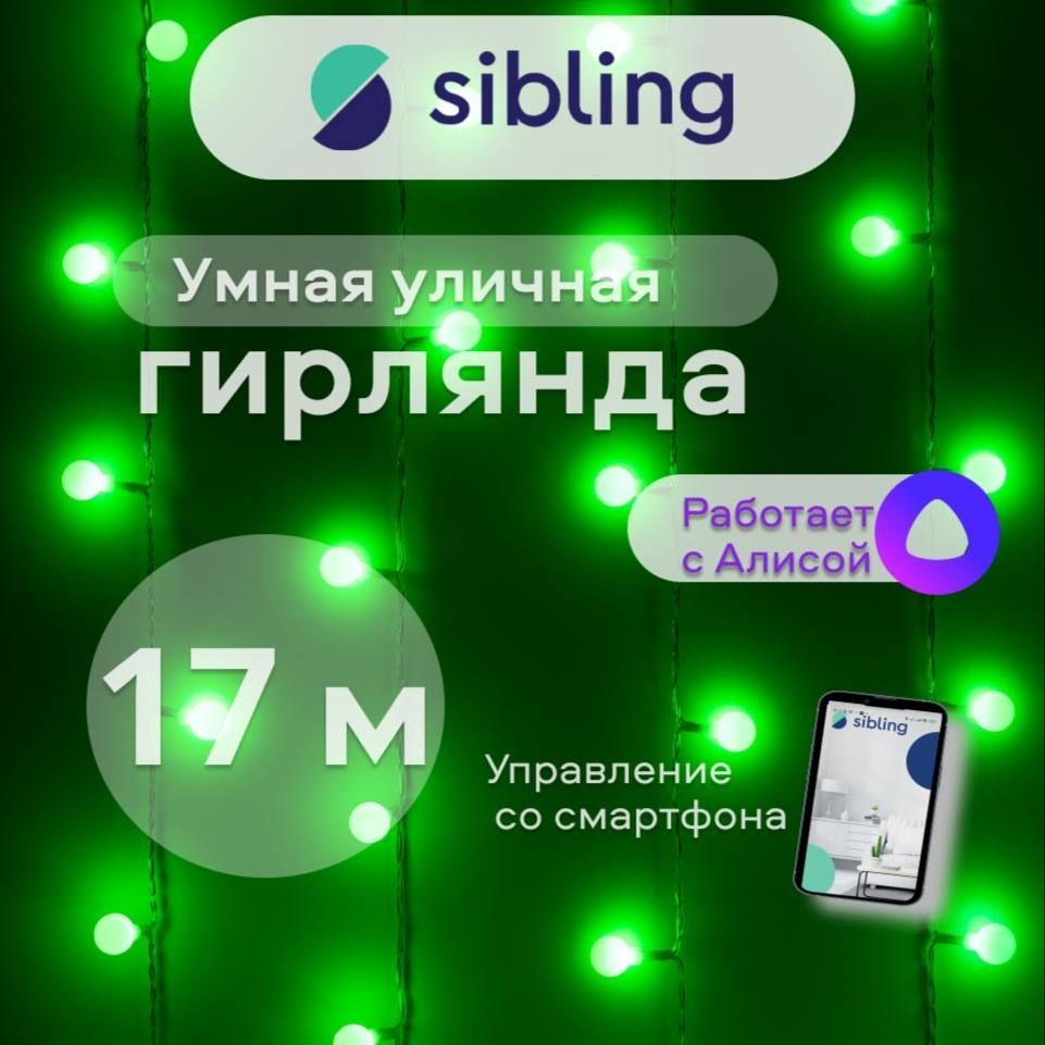 SiblingУмнаягирляндаPowerlight-SKL,17метров.РаботаетсАлисой