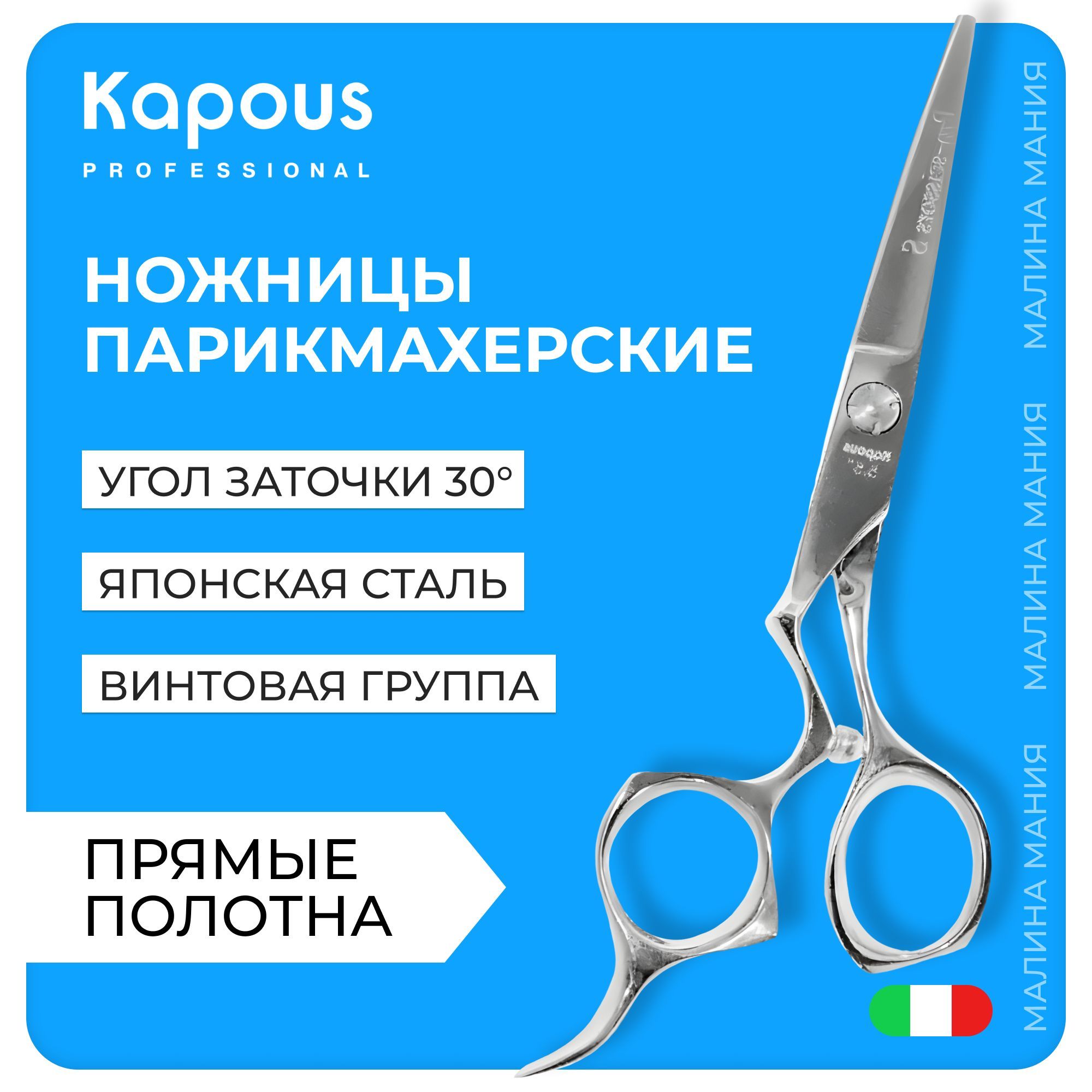 KAPOUS Ножницы парикмахерские PRO-SCISSORS S, прямые 5.5