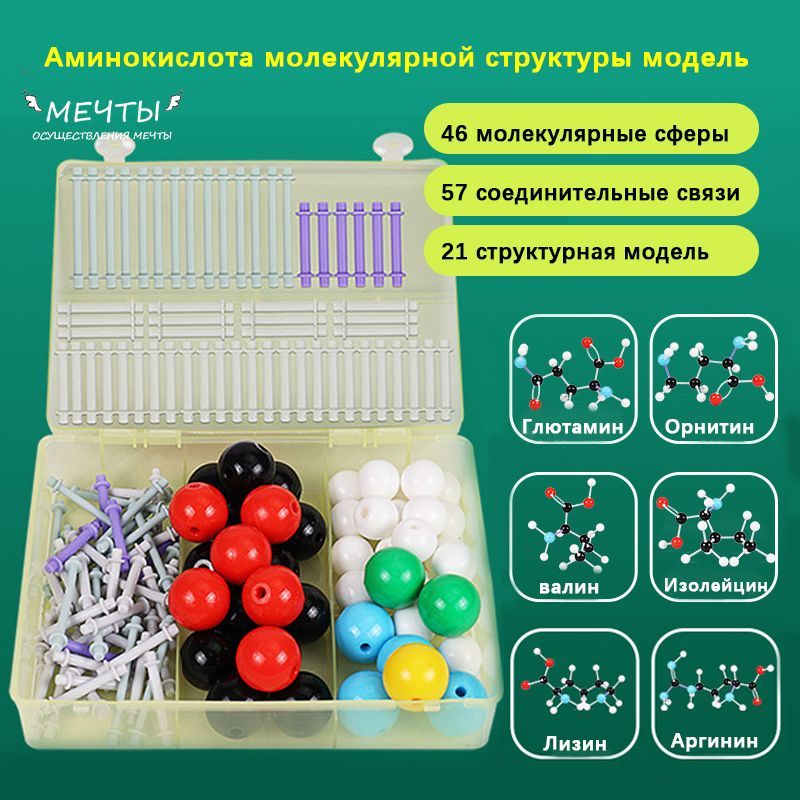 Аминокислота молекулярной структуры модель