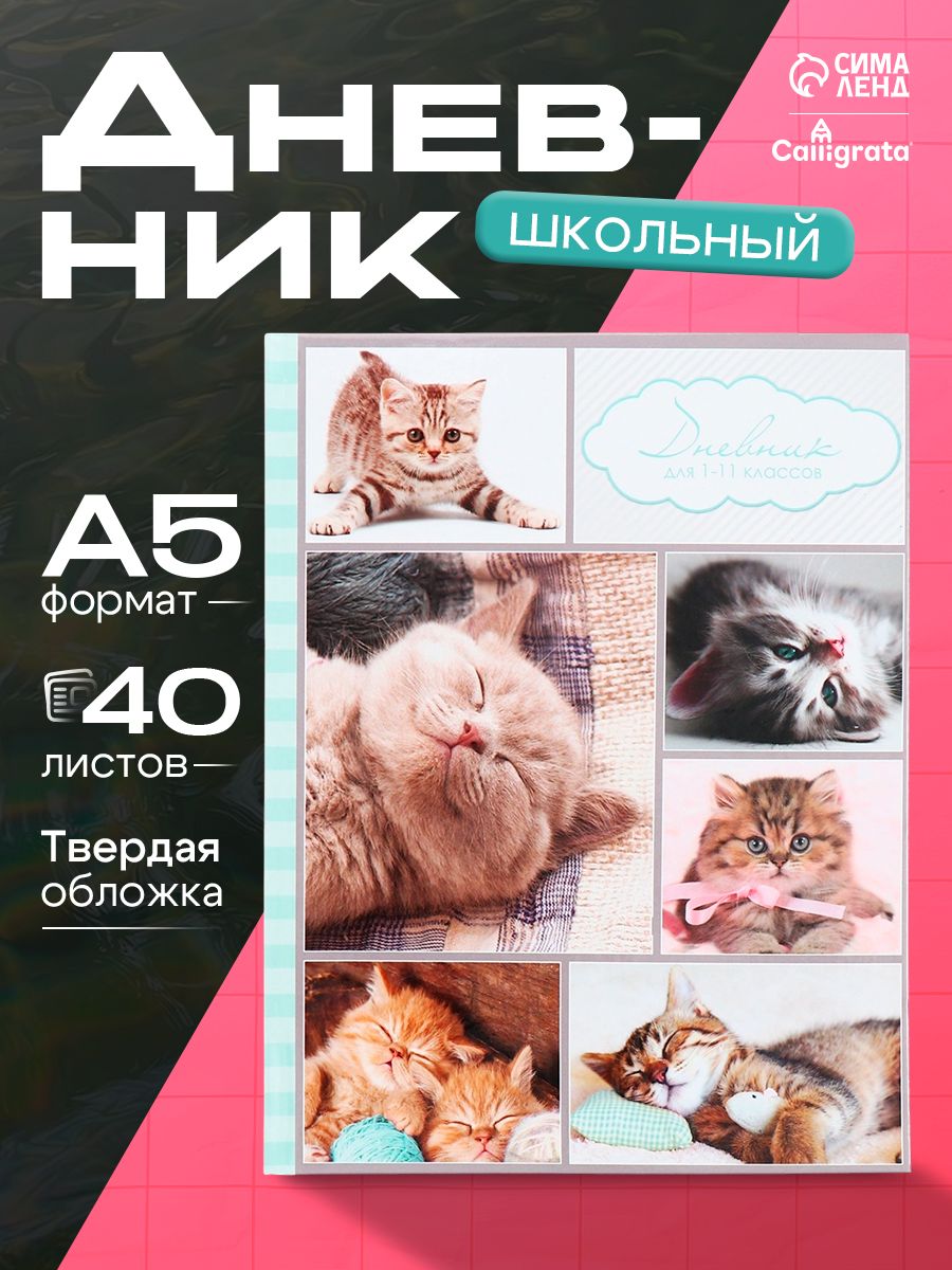 Дневник школьный, 1-11 класс