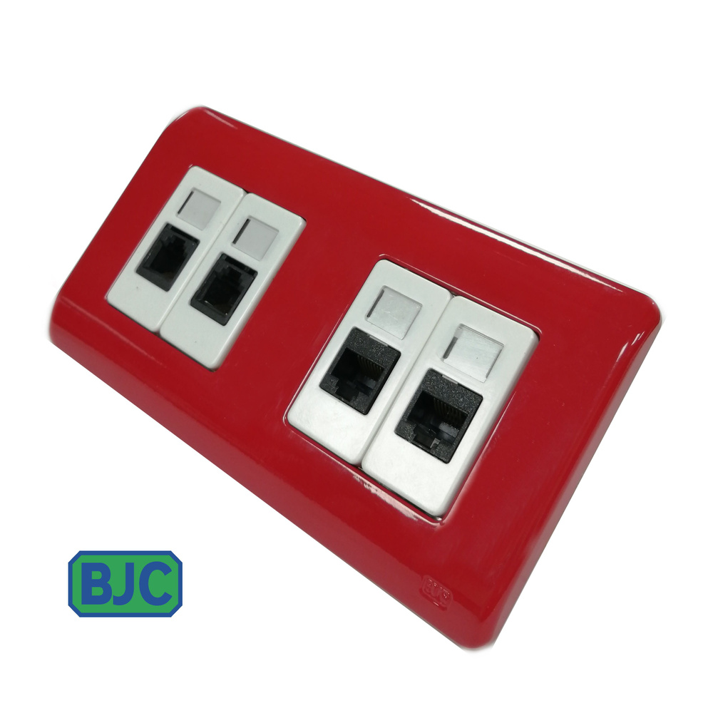 Розетка компьютерная RJ-45-2шт Cat.5e + телефонная RJ-11-2шт Cat3, двухпостовая красная рамка, белая #1