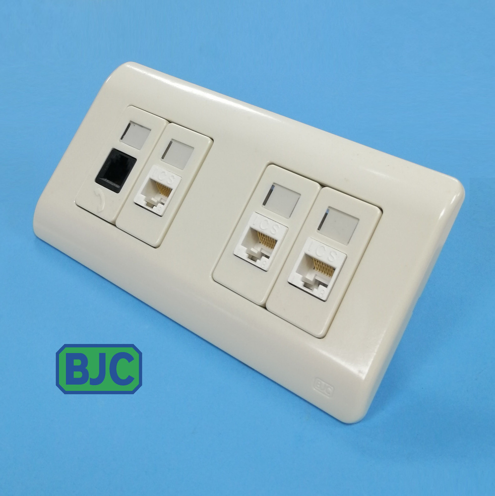 Розетка компьютерная RJ-45-3шт Cat.5e + телефонная RJ-11 Cat3, двухпостовая бежевая  #1