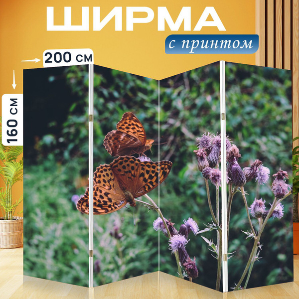 Ширма LotsPrints материал - Холст - купить по доступным ценам в ...