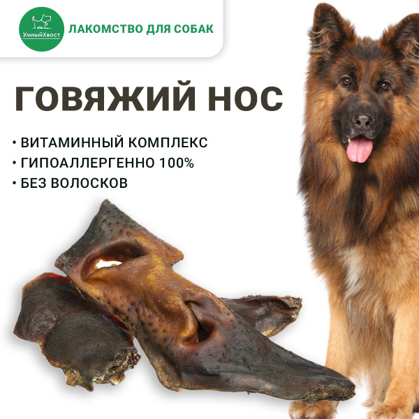 Говяжий нос - Сушеное лакомство для собак - купить с доставкой по ...