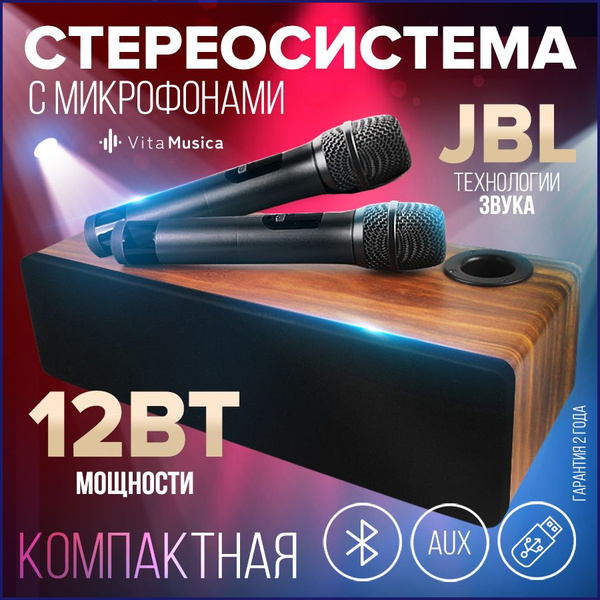 Караоке система для дома VitaMusica, колонка с двумя беспроводными ...