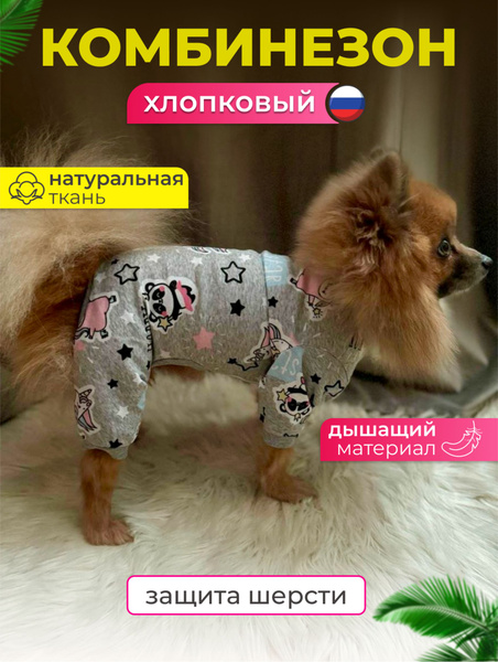 Костюм для собак и кошек мелких пород - купить с доставкой по выгодным ...
