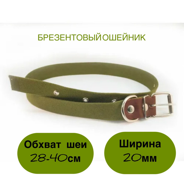Ошейник для собак с подпряжником, брезентовый, длина 45 см ширина 20мм ...