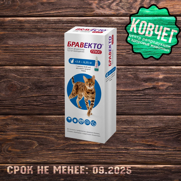 Бравекто ПЛЮС капли для кошек 250 мг 2,8-6,25 кг - купить с доставкой ...