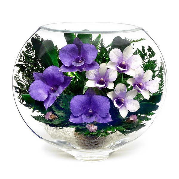 Стабилизированные цветы в стекле Natural Flower Products Орхидея, 18 см ...