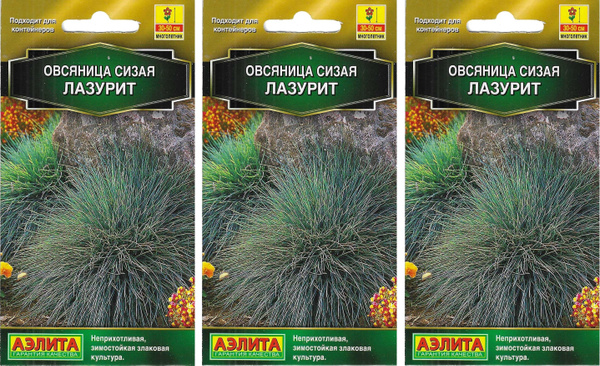 Овсяница Аэлита Овсяница сизая Лазурит - купить по выгодным ценам в ...