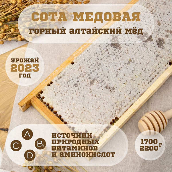 Сотовый мед, мед в сотах, сота медовая 1.7 кг - 2.2 кг - купить с ...