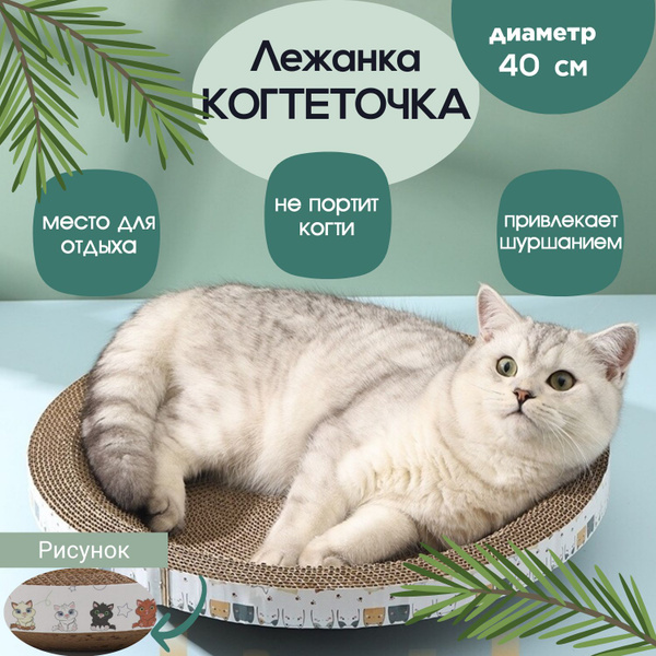 Круглая лежанка- когтеточка для кошек - купить с доставкой по выгодным ...
