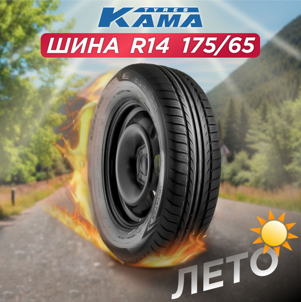 Шины для легковых автомобилей КАМА 175/65 14 Лето Нешипованные - купить ...