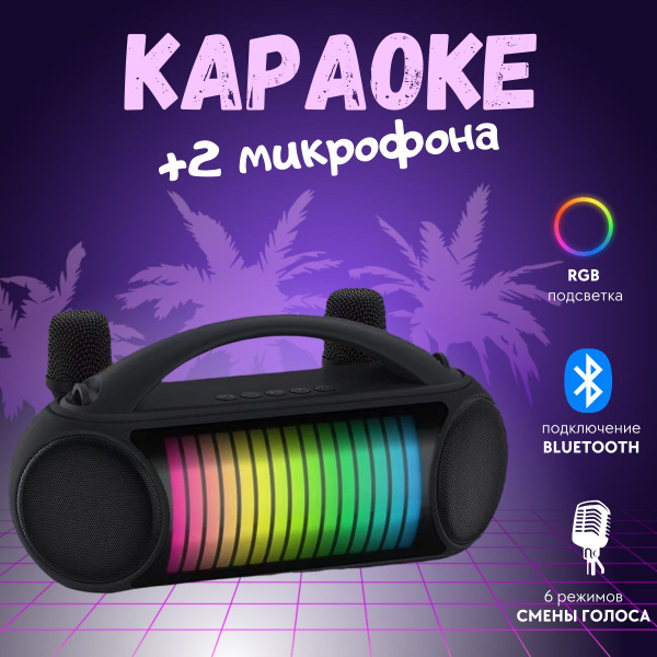 Беспроводная караоке система для дома с двумя беспроводными микрофонами ...