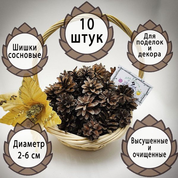 Сосновые шишки для декора и рукоделия 10 штук - купить с доставкой по ...