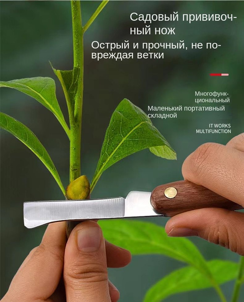 Нож для садового инструмента Ножи для обрезки плодовых деревьев и ...