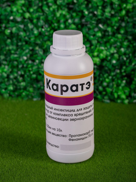 �������� 250 � ������ ������: ����.