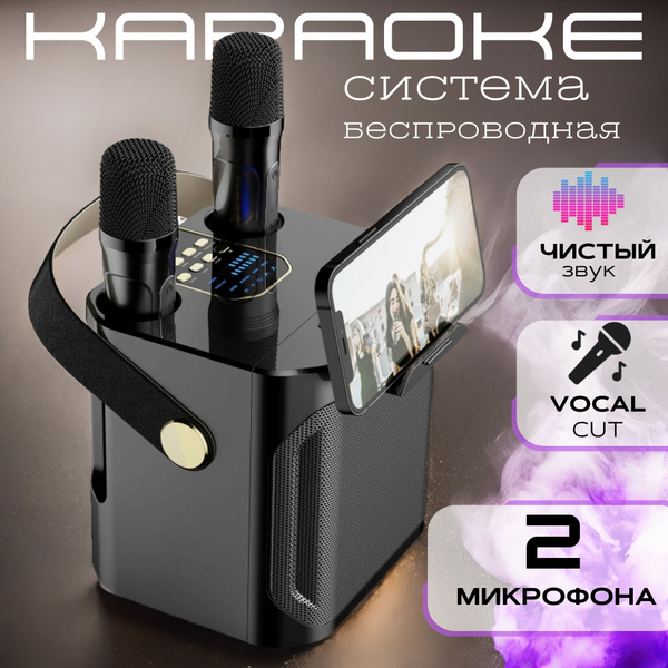 Караоке система VOXORIA с двумя беспроводными микрофонами с функцией ...
