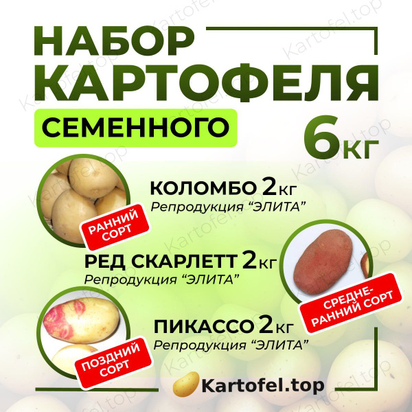 Картофель Kartofel.top Комплект_Коломбо;Ред Скарлетт;Пикассо - купить ...