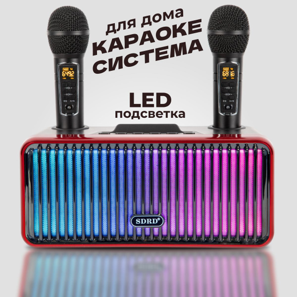 Караоке система для дома SD-319 Pro /черная/ с двумя микрофонами ...