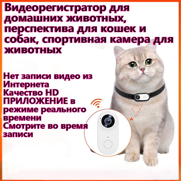 Видеорегистратор для домашних животных, перспектива для кошек и собак ...