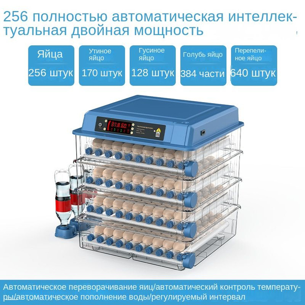 Умный инкубатор для цыплят - купить с доставкой по выгодным ценам в ...