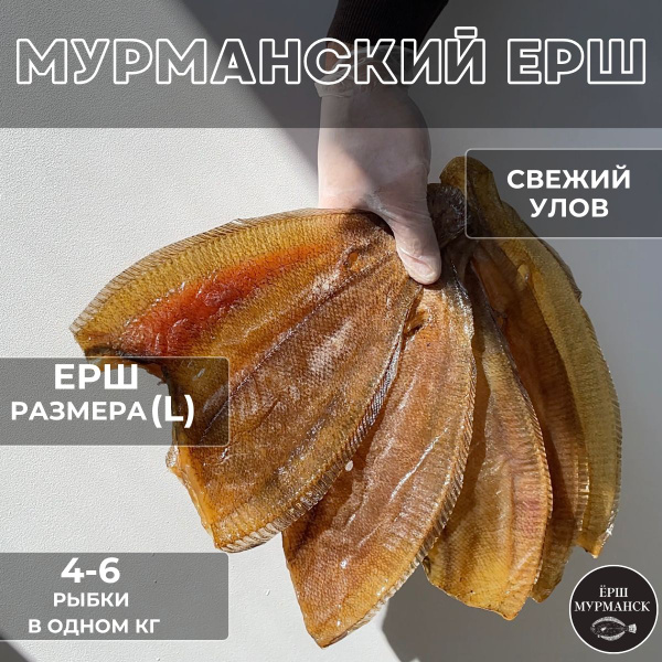 Рыба вяленая сушеная c икрой ерш мурманский 1 кг размер L - купить с ...