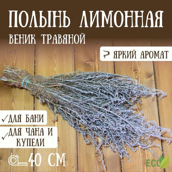 Вопросы и ответы о Полынь лимонная. Веник для бани – OZON (1612391003)