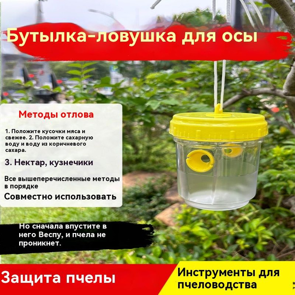 Ловушки/ловушки от насекомых для ос и осоедок - купить с доставкой по ...
