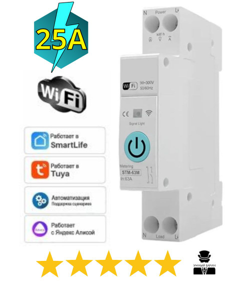 Умный автомат-реле WiFi на Din рейку 25A со счетчиком электричества ...