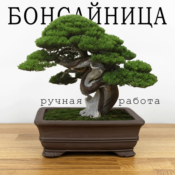 Неглазурованный керамический горшок для бонсай и цветов, бонсайница 15 ...