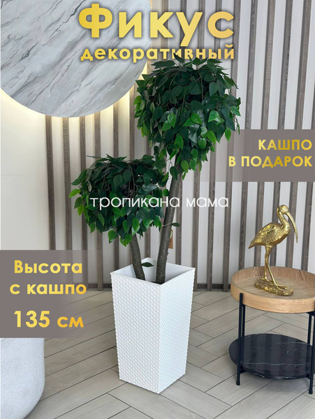 Искусственный фикус, декоративное растение, комнатный цветок высокий ...