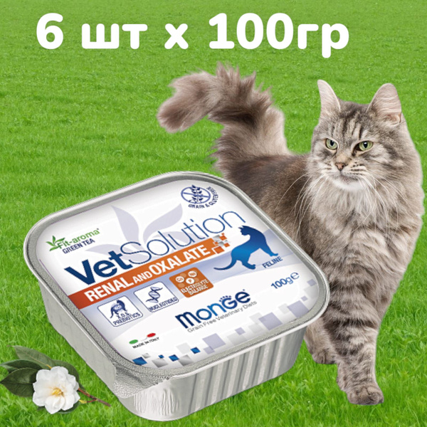 Ветеринарная диета Monge VetSolution Renal and Oxalate, влажный корм ...
