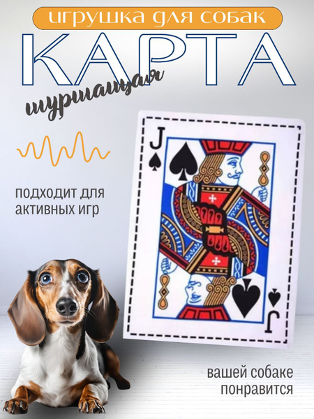 Игрушка шуршащая для собак "КАРТА" купить на OZON по низкой цене ...