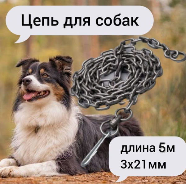 Цепь для собак привязочная 3х21мм 5м купить на OZON по низкой цене ...
