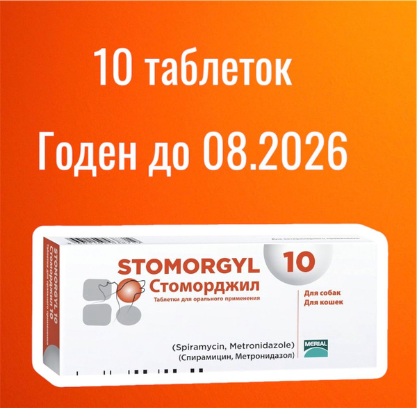 Стоморджил 10 мг 10 таблеток- 1 блистер купить на OZON по низкой цене ...