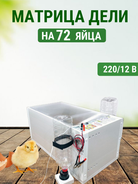 Инкубатор Матрица Дели на 72 яйца автоматический купить на OZON по ...